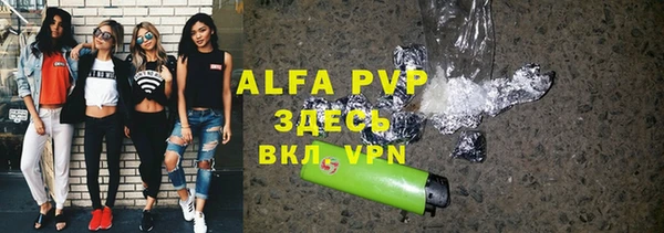 амф Кондопога