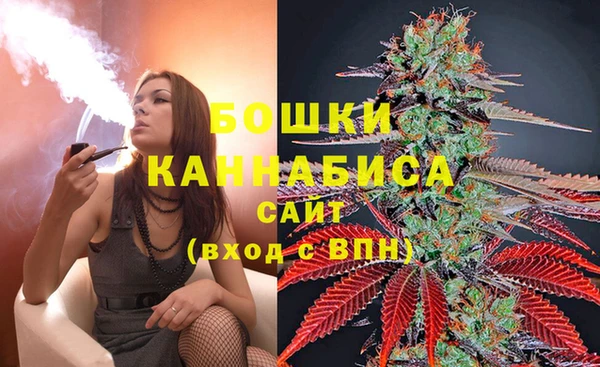 ГАЛЛЮЦИНОГЕННЫЕ ГРИБЫ Медвежьегорск