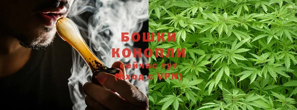 ГАЛЛЮЦИНОГЕННЫЕ ГРИБЫ Медвежьегорск