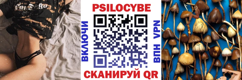 мега зеркало  купить  цена  Нерчинск  Псилоцибиновые грибы Psilocybe 